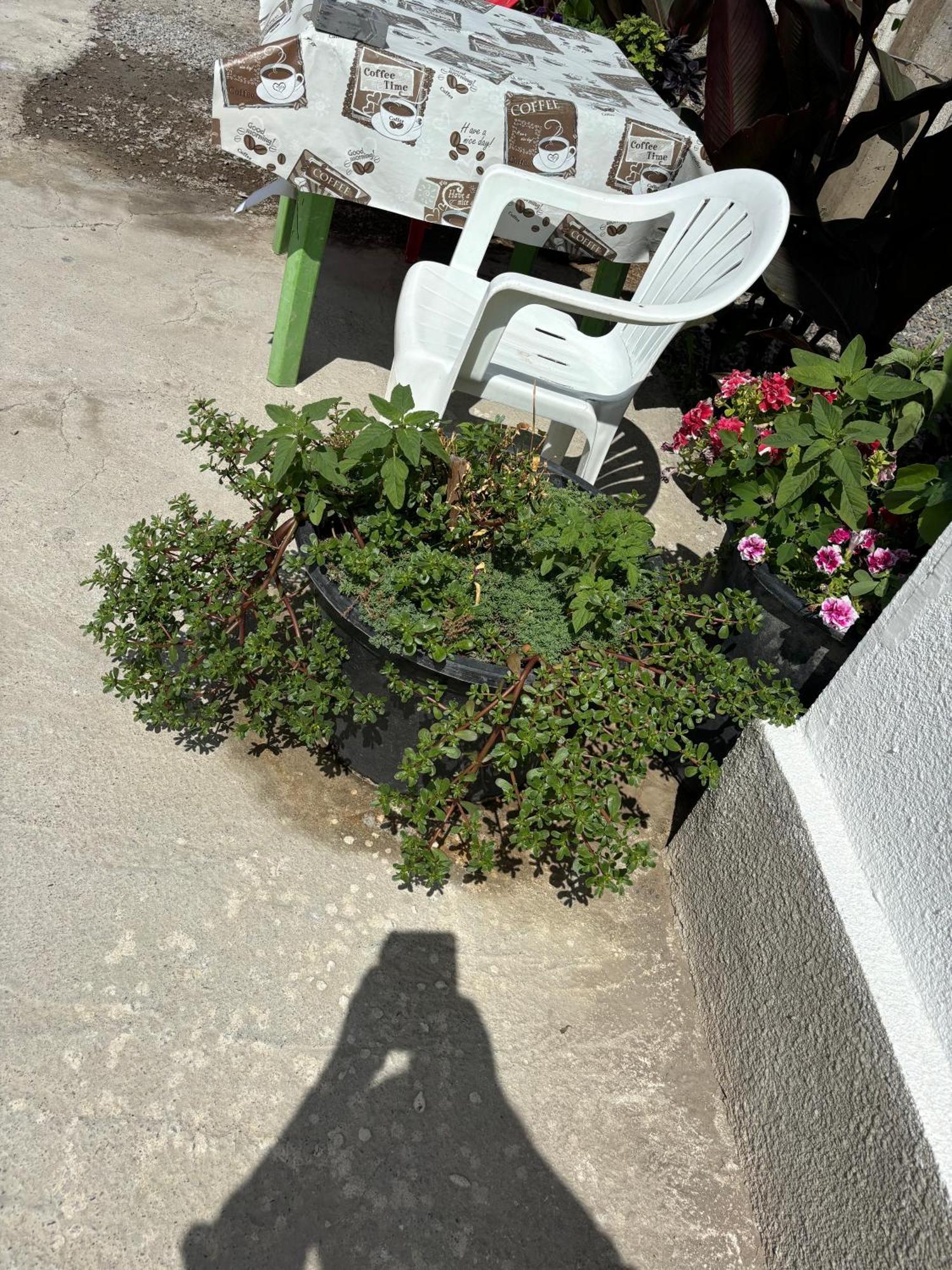 Hostel,Halal Хостел,Халал Tokmok Buitenkant foto
